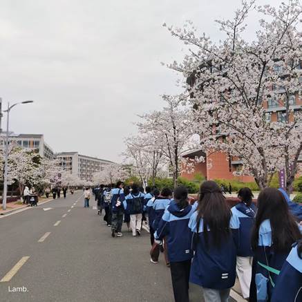 883463b3a5fa6713fcbfb8897c3e15d